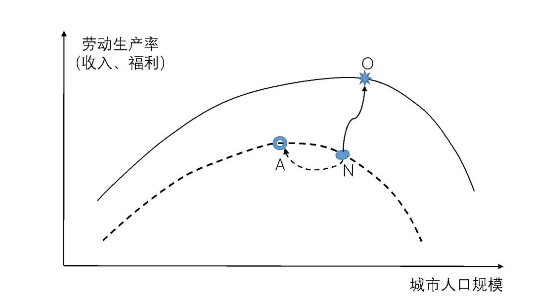1549893161625033971.jpg