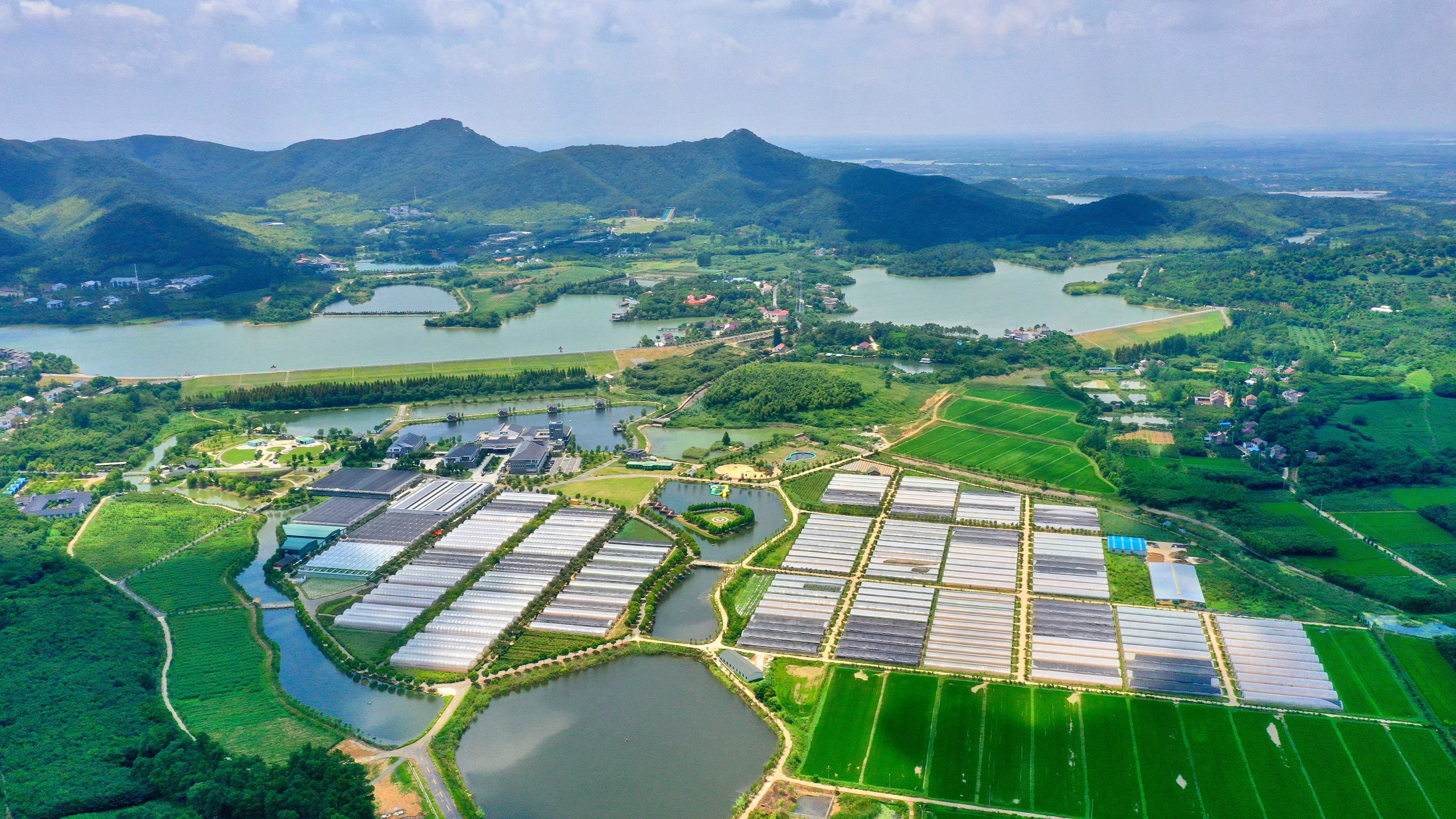 一号农场茅山基地俯拍图1.jpg
